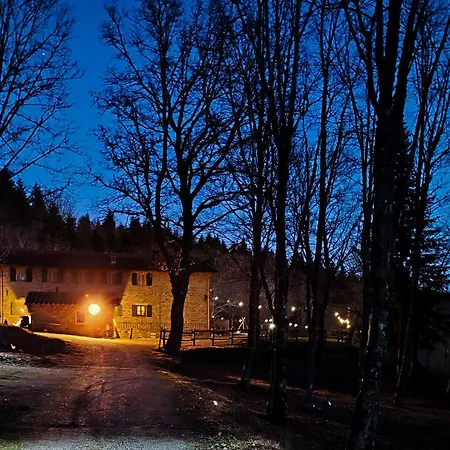 Taverni