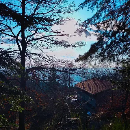 Taverni * Subbiano
